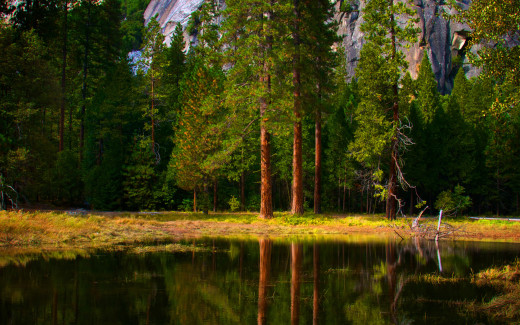 506974 (a): :2560x1600